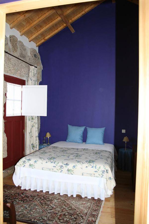 Casa rural para 10 personas, con jardín además de piscina y terraza, Se admiten mascotas en Penafiel - 4