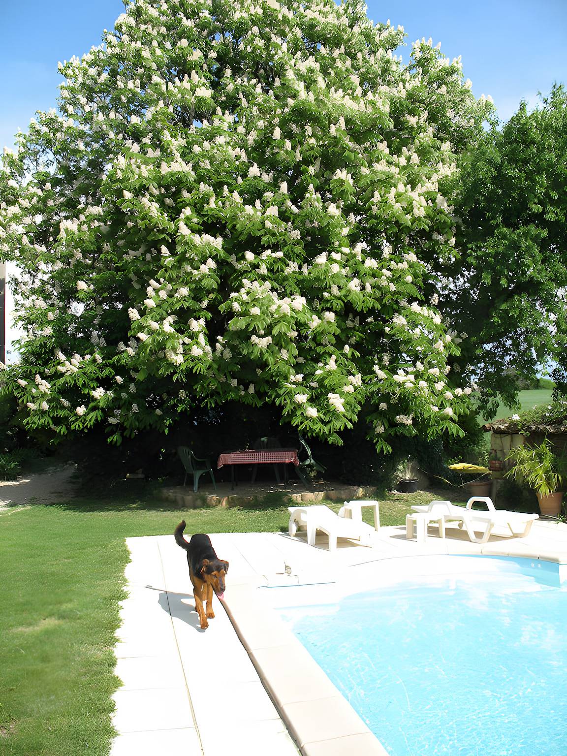 Chambre Rose avec piscine et jardin in Sauzet, Région de nyons