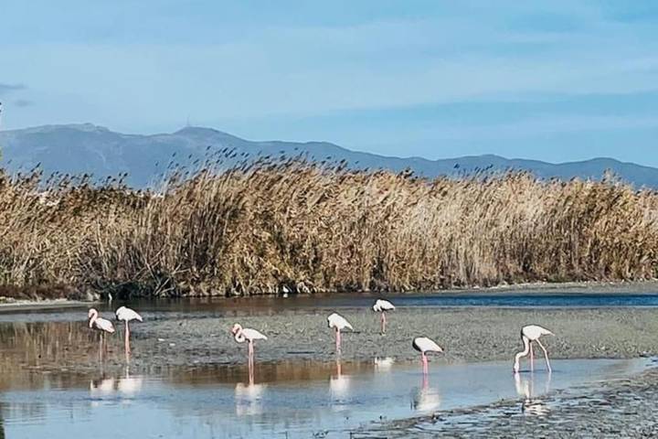 Casa sulla spiaggia per 2 persone, con giardino in Sud della Sardegna