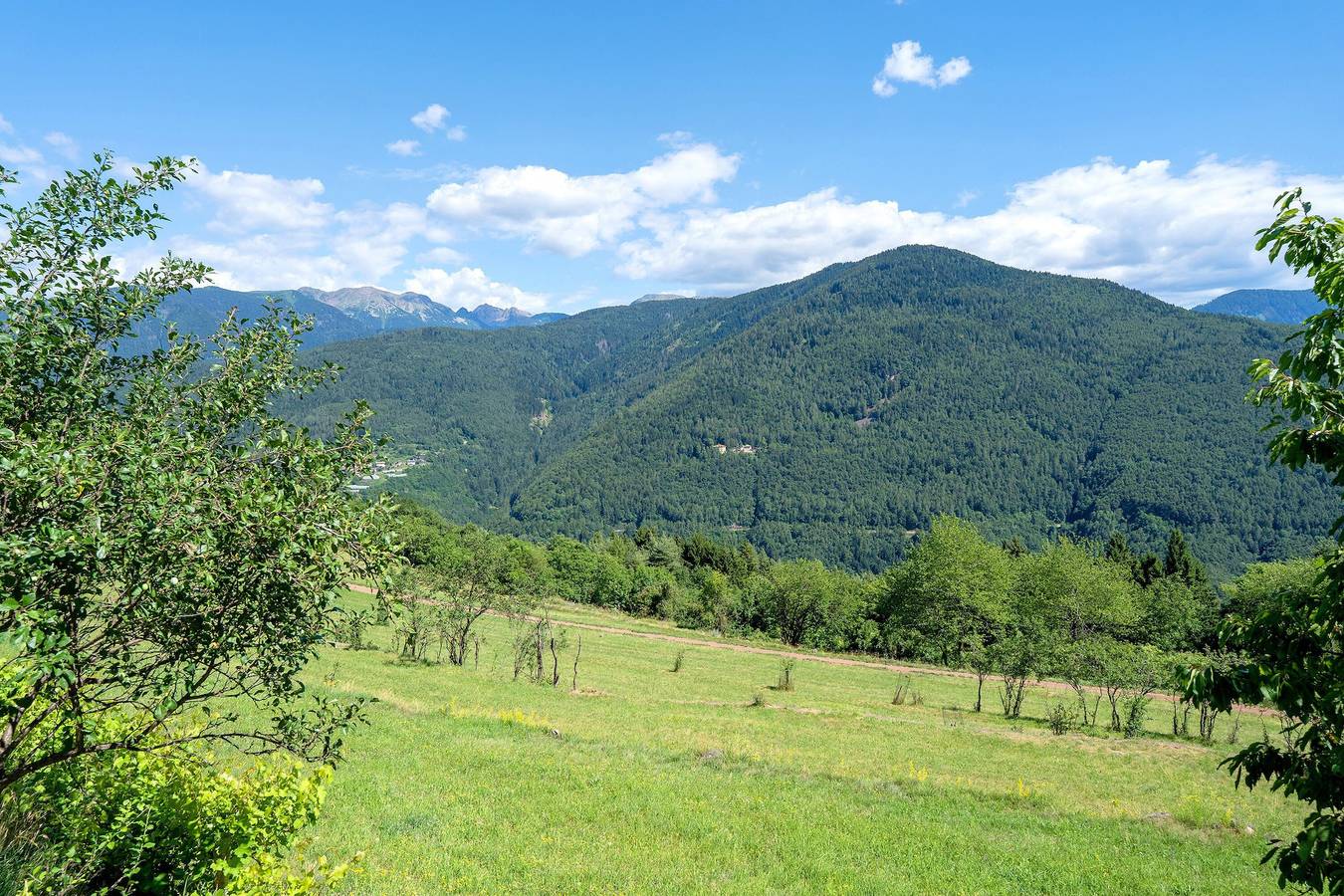 Appartamento intero, Appartamento 'Maso Bornie Fior di Ciliegio' con vista montagna, terrazza e Wi-Fi in Valda, Altavalle