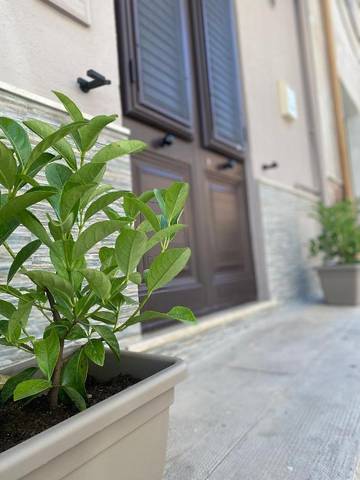 Gîte pour 4 personnes, avec vue à Cinisi