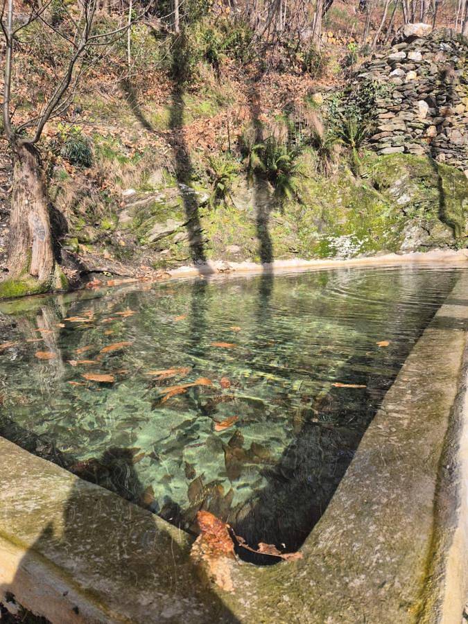 Location de vacances pour 2 personnes, avec jardin ainsi que vue et piscine à Saint-Germain-de-Calberte - 2