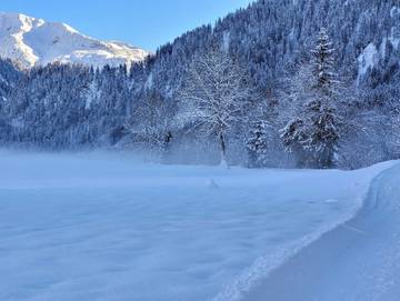 Ferienwohnung für 4 Personen in Schoppernau, Allgäuer Alpen (Österreich), Bild 1
