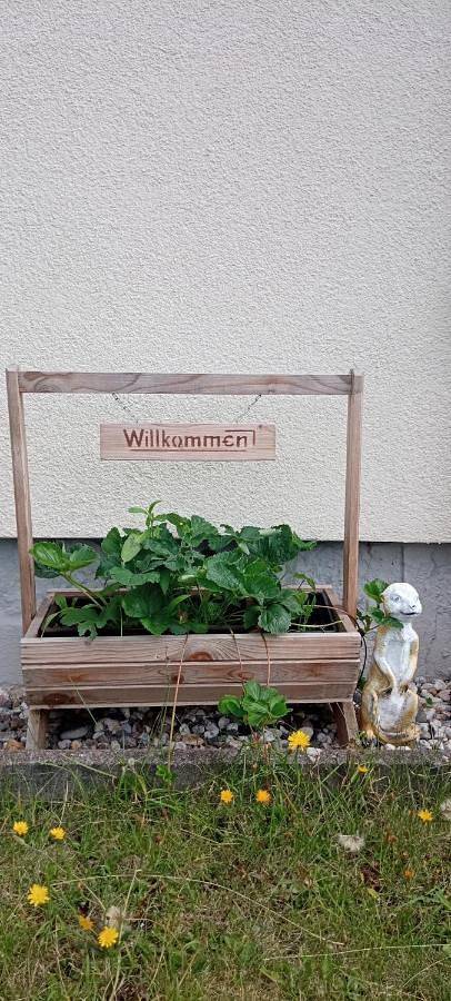 Ferienwohnung für 4 Personen, mit Terrasse und Ausblick in Frauenstein - 3