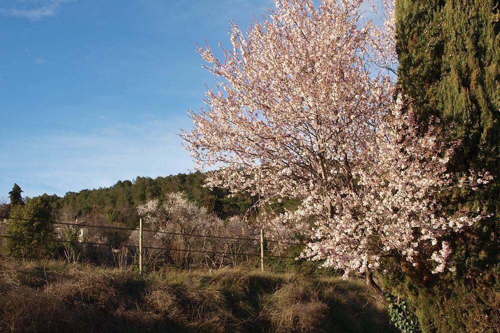 Mas de Coste, gite pour réunion familiale, amicale in Cannes-et-Clairan, Région du Vigan