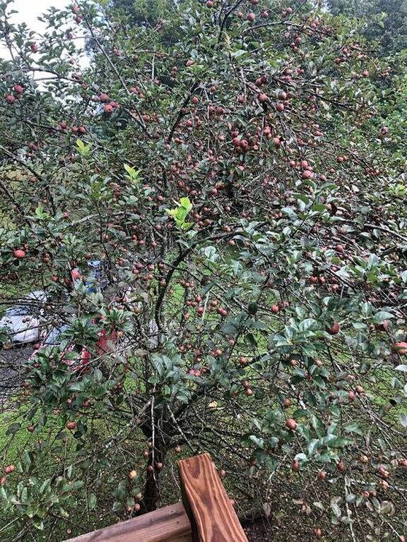 Veloway Chalet for the cyclist in you! by Buffalo Mountain Getaway in Floyd County