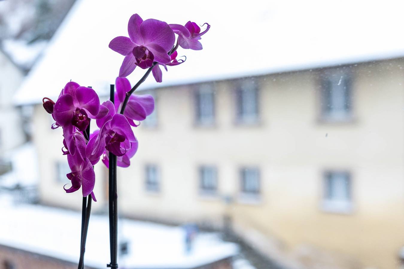 Ganze Wohnung, Apartment „Residenz Schlossturm“ mit gemeinsamer Terrasse und Wlan in Bad Berneck im Fichtelgebirge, Frankenalb
