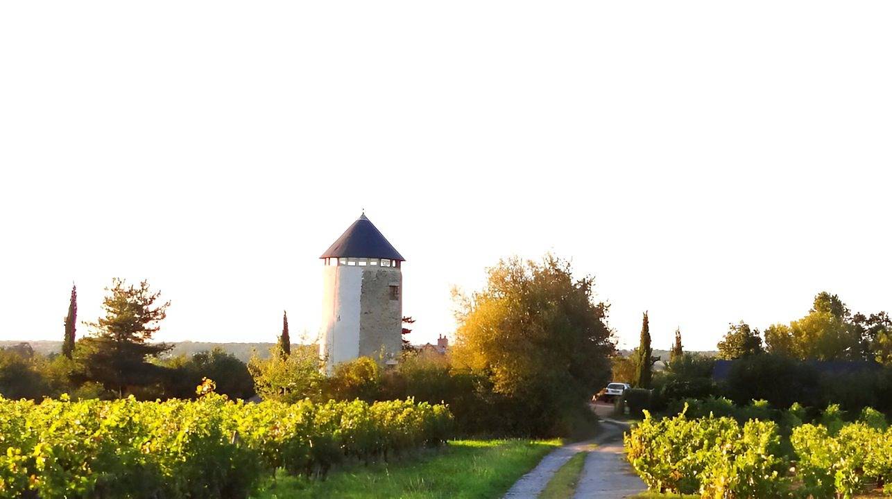 Moulin Géant (chambres d'hôtes) - Chambre 2 in Rochefort-sur-Loire, Vallée de la Loire