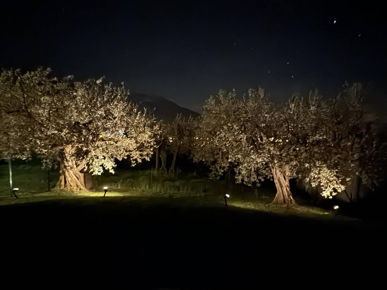 La Cicada in Nyons, Nyons und Umgebung