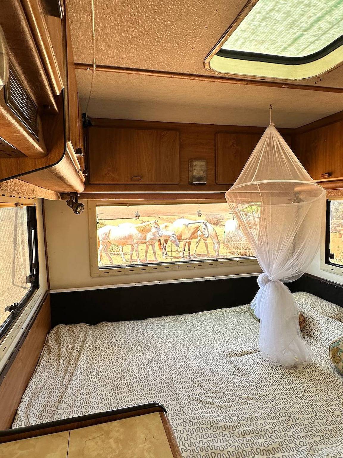 Pauls Wohnwagen für 4 - Sehen Sie die Pferde vom Bett aus in Barão de São João, Bensafrim e Barão de São João