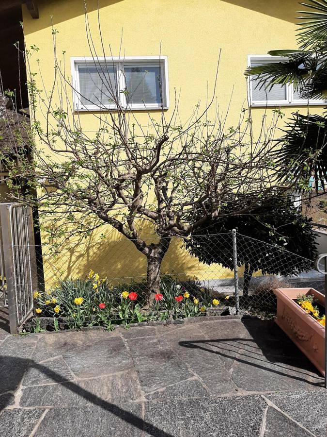 Ferienwohnung für 4 Personen, mit Terrasse und Seeblick sowie Ausblick