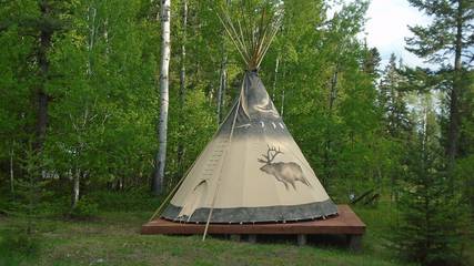Camping für 3 Personen in Flathead Nationalwald, Montana, Bild 3