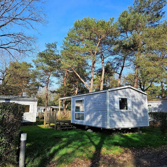 Gîte pour 5 personnes, avec jardin et piscine à La Boissière-de-Montaigu - 4