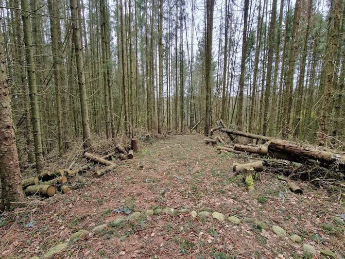 Ferienhaus für 6 Personen, mit Terrasse, mit Haustier in Silkeborg - 3
