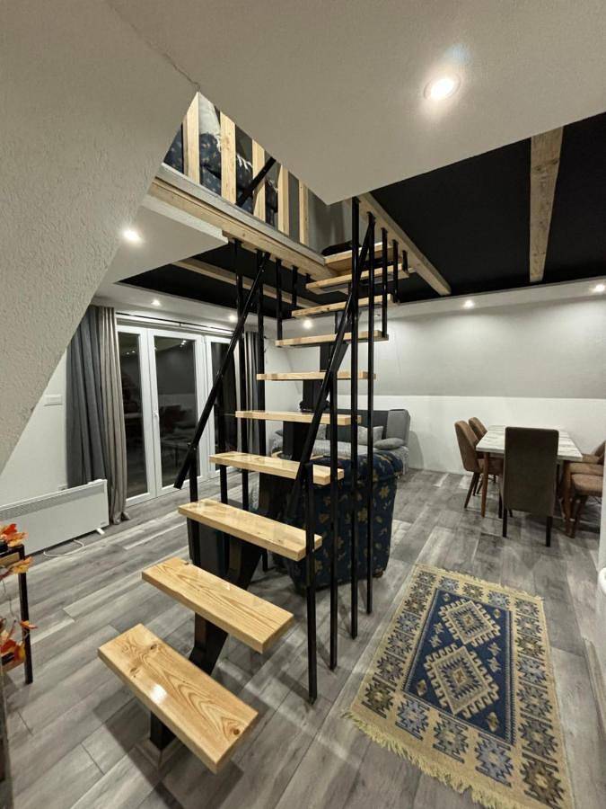 Location de vacances pour 7 personnes, avec vue ainsi que jardin et terrasse à Despotovac - 2