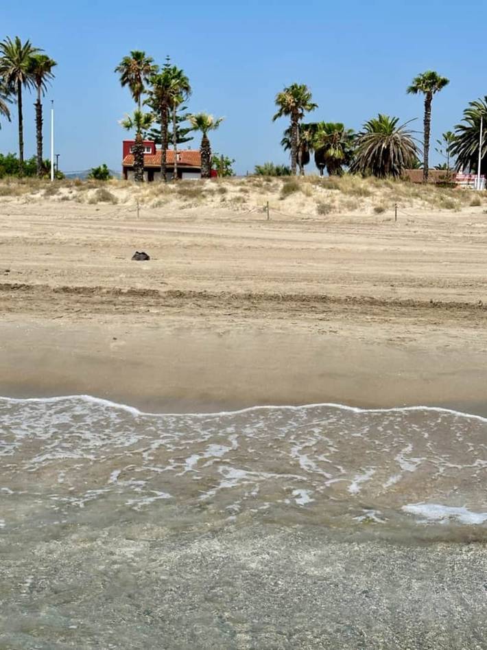 Casa de vacaciones para 12 personas, con Vistas al mar además de Balcón/Terraza y Jardín en Castellón de la Plana
