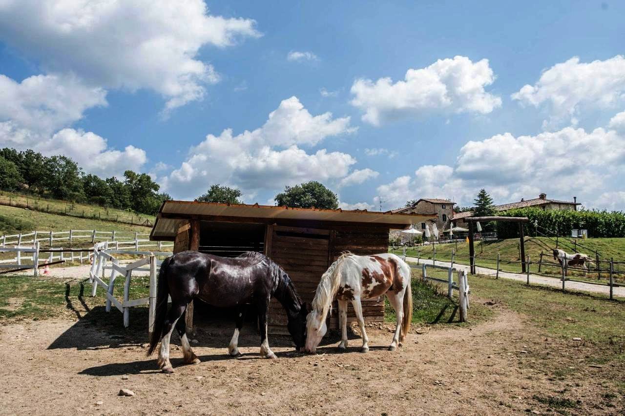 Monolocale intero, Agriturismo Goccia di Luna in Umbertide, Valtiberina