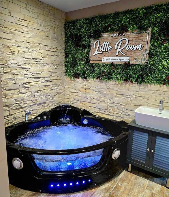 Gîte pour 2 personnes, avec jacuzzi ainsi que terrasse et jardin à Vendôme - 2