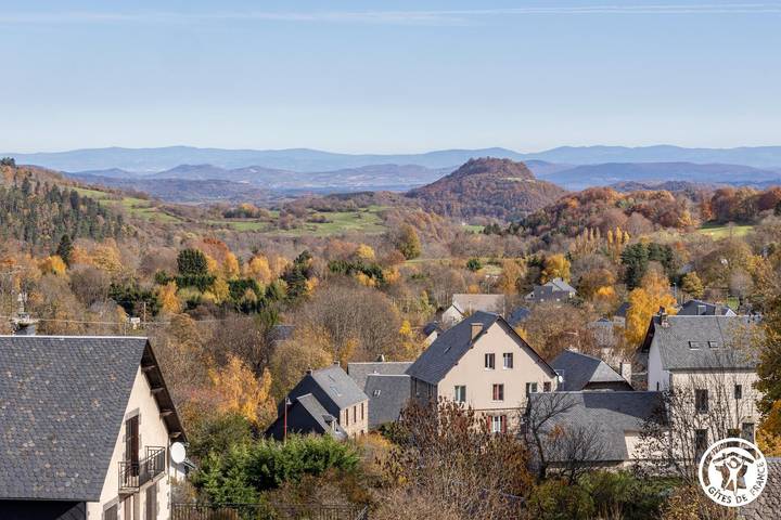 Gîte pour 6 personnes, avec jardin à Besse-et-Saint-Anastaise - 3