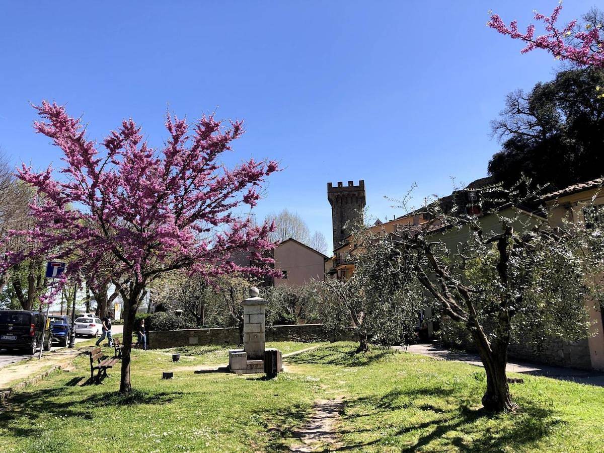 Appartement entier, Vicopisano historic apartment with a view of the Fortress in Farra di Soligo, Préalpes carniques