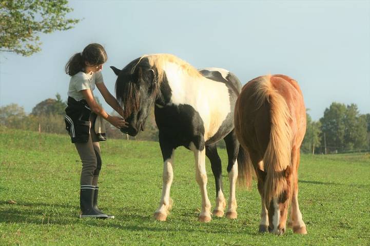 Location de vacances pour 8 personnes, avec jardin ainsi que piscine et terrasse à Cendrieux