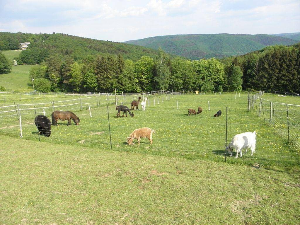 Ganze Ferienwohnung, Ferienwohnung Rurseeidyll in Simmerath, Rureifel (Nordrhein-westfalen)