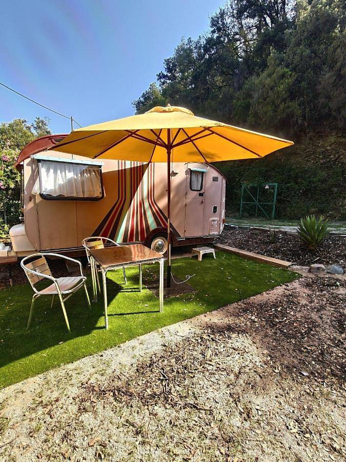 Tent for 2 people, with view and garden as well as terrace, with pets - 1