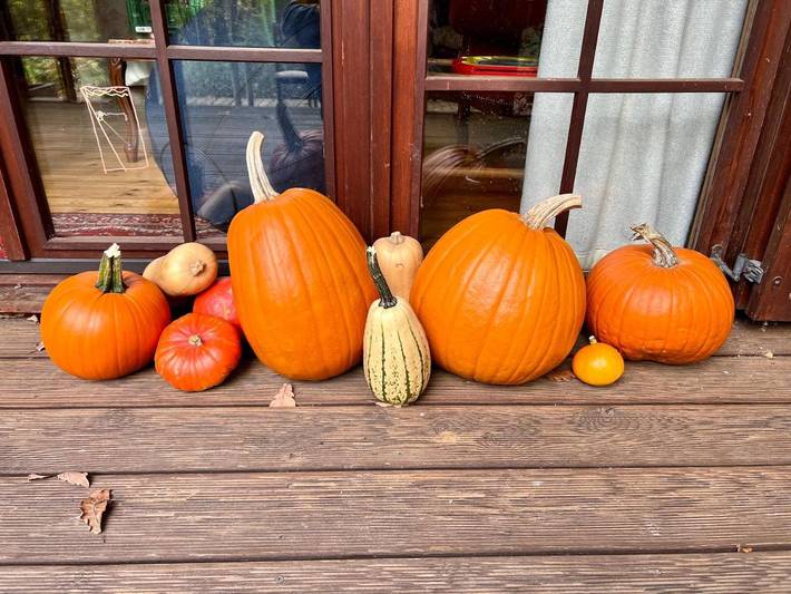 Gîte pour 4 personnes, avec terrasse et jardin à Florennes - 3