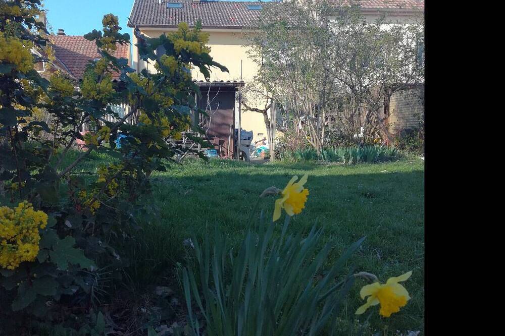 Appartement entier, Appartement avec jardin dans Colmar in Colmar, Région de Colmar
