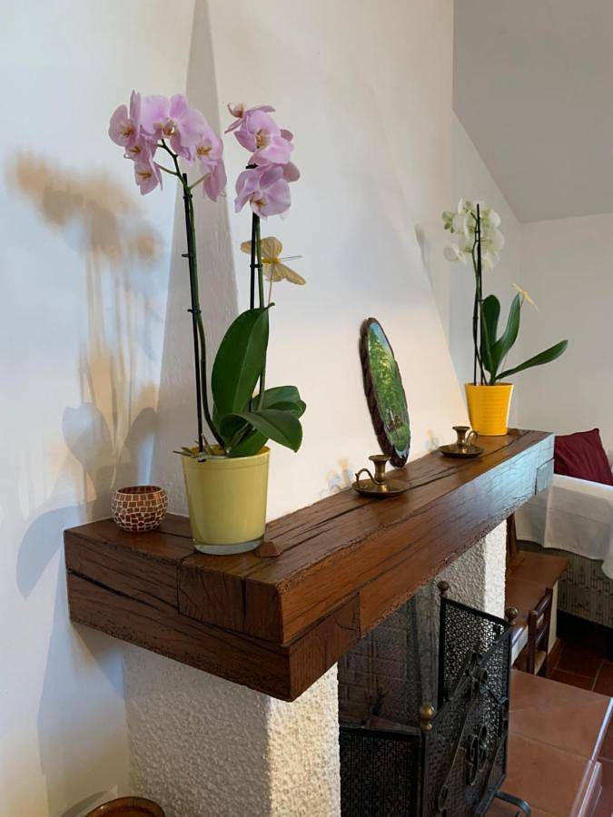 Gîte pour 6 personnes, avec jardin et vue à Sasso Marconi - 3