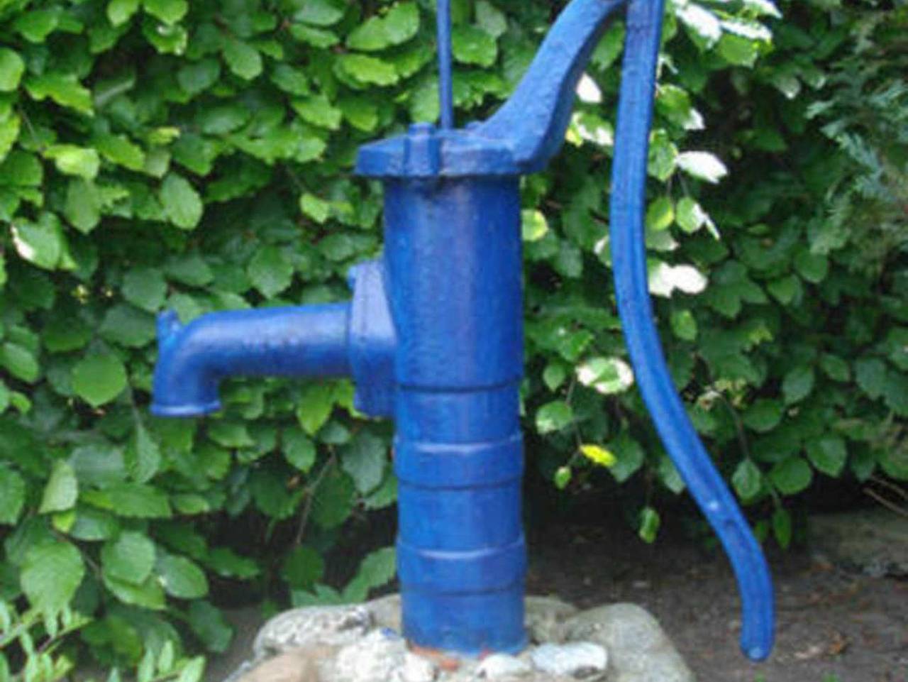 Ferienhaus Grüner Winkel - Nähe Strandstraße - Ferienhaus Grüner Winkel in Graal-Müritz, Rostock und Umgebung