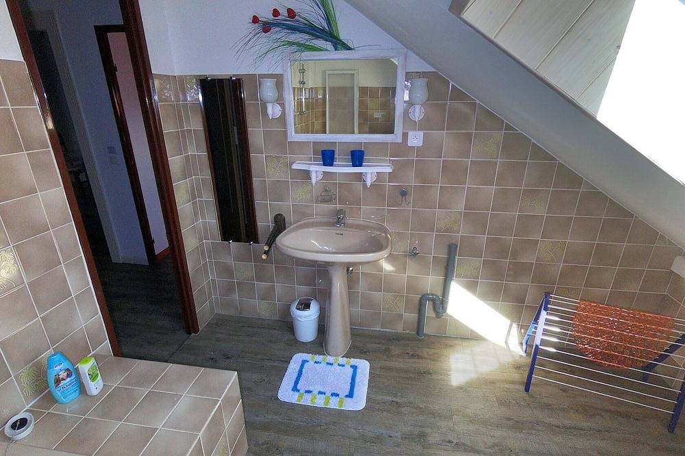 Ganze Wohnung, Gemütliche und komfortable Wohnung nahe dem Zentrum von Colmar in Colmar, Colmar und Umgebung