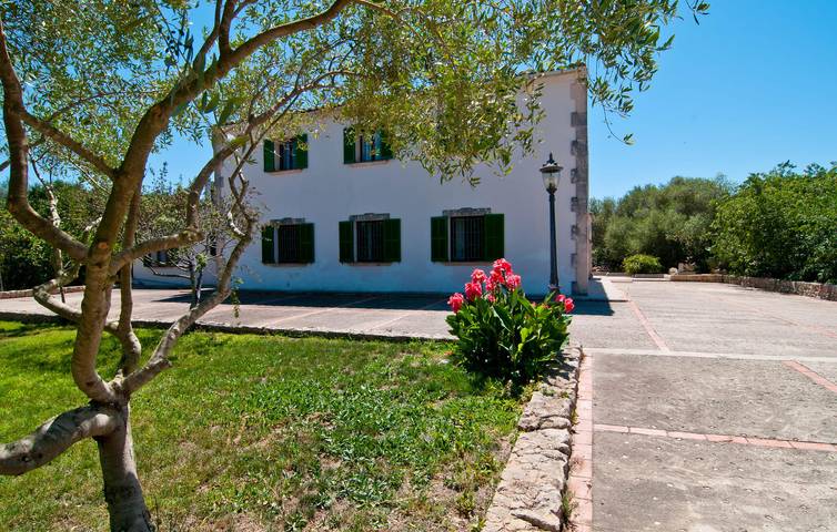 Villa pour 10 personnes, avec terrasse à Petra - 3