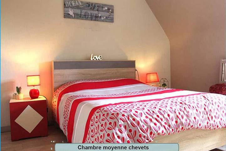 Gîte pour 5 personnes, avec jardin à Plouguiel - 4