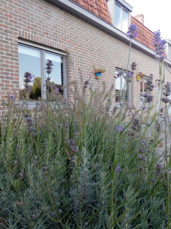 Location de vacances pour 10 personnes, avec jardin et vue à Renaix - 3