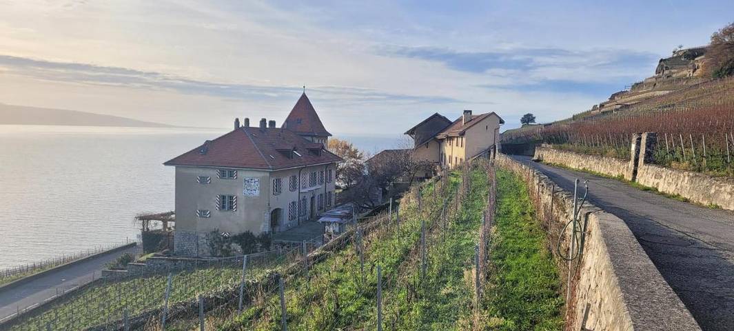 Gîte pour 4 personnes, avec vue ainsi que vue sur le lac et jardin dans Chardonne - 2