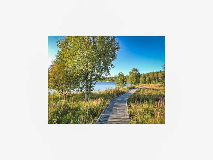 Örtsylä b in Sallatunturi, Laponie