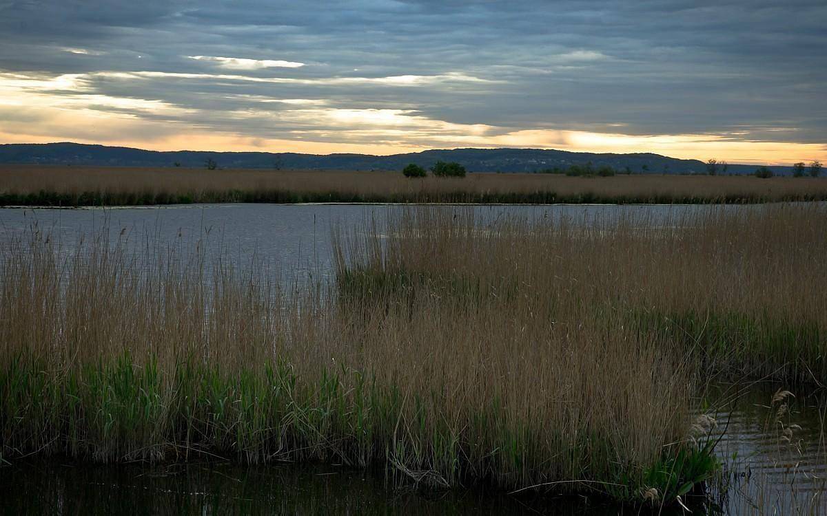 Ferienhaus auf einer Insel in Swinemünde, Stettiner Haff