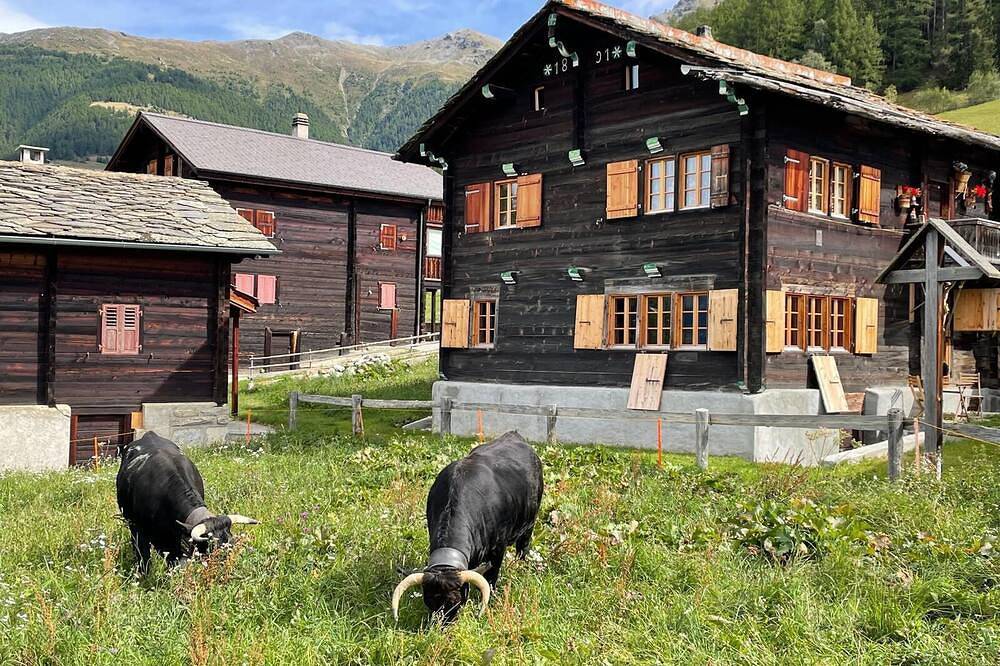 Ganze Wohnung, Lodge 1891 in Stalden (VS), Walliser Alpen