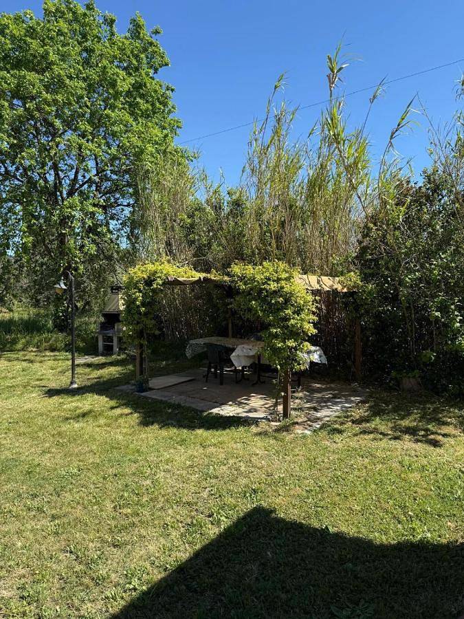 Ferienhaus für 5 Personen, mit Garten, mit Haustier in Castagneto Carducci - 4