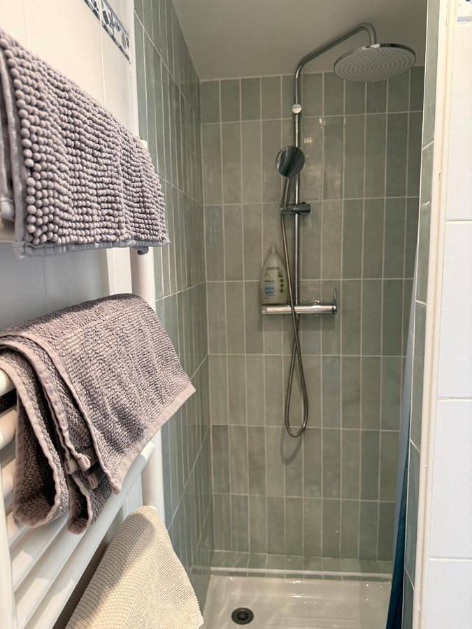 Gîte pour 2 personnes, avec Jacuzzi et Jardin à Faremoutiers - 4