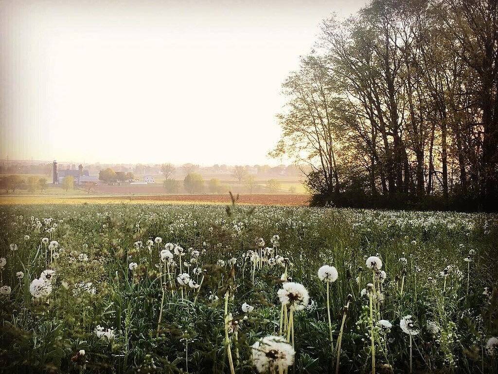 Ruhige Ferienhaus in schöner Lancaster County in Lancaster County