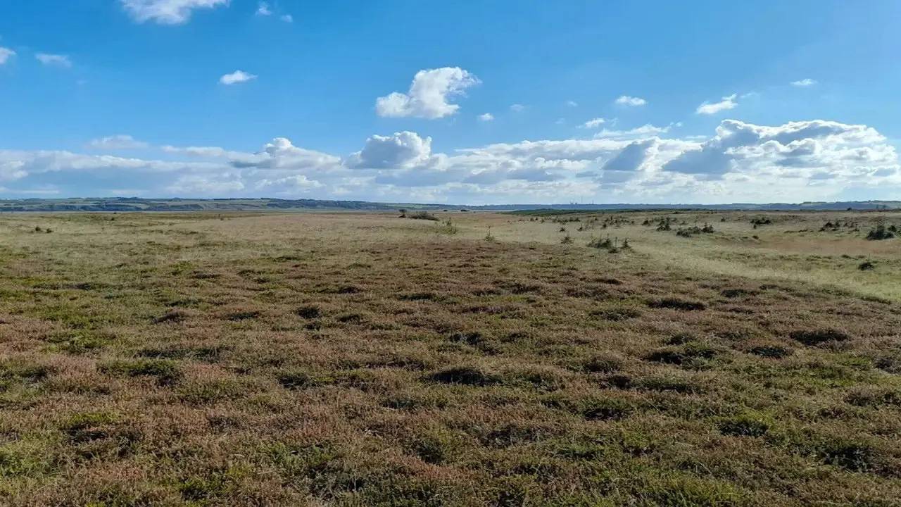 Ferienhaus für 6 Personen (75 m²) in Gjellerodde in Gjeller Odde, Underbjerg