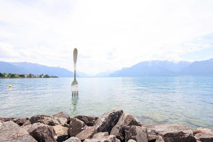 Location de vacances pour 2 personnes, avec Terrasse et Vue à Vevey - 2