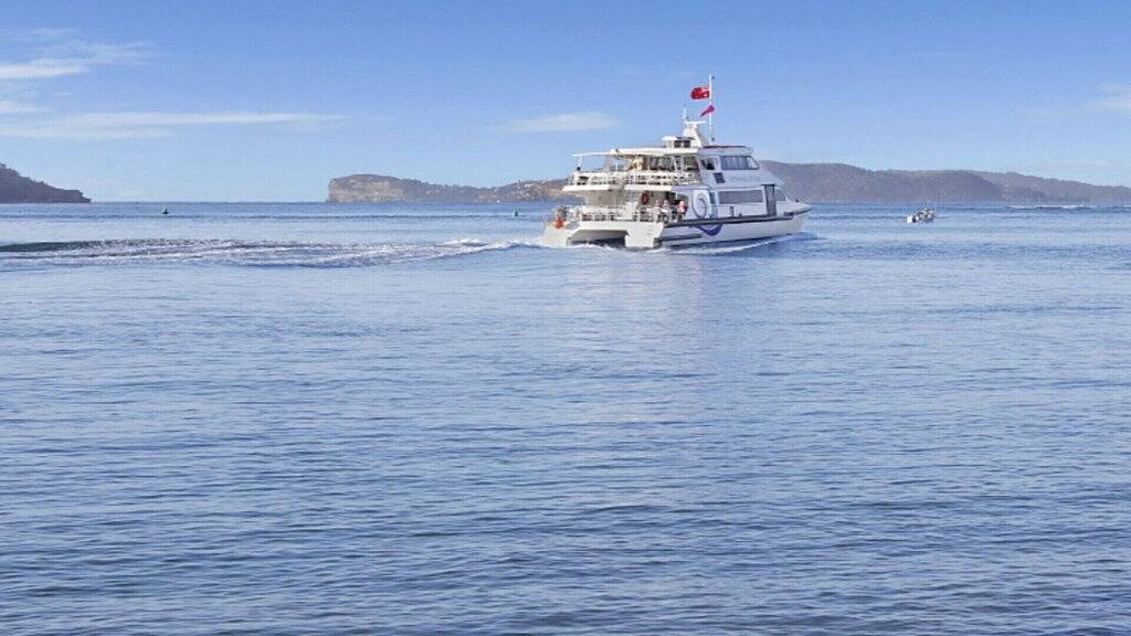 Pool Delight - Ettalong Beach Resort in Ettalong Beach, New South Wales