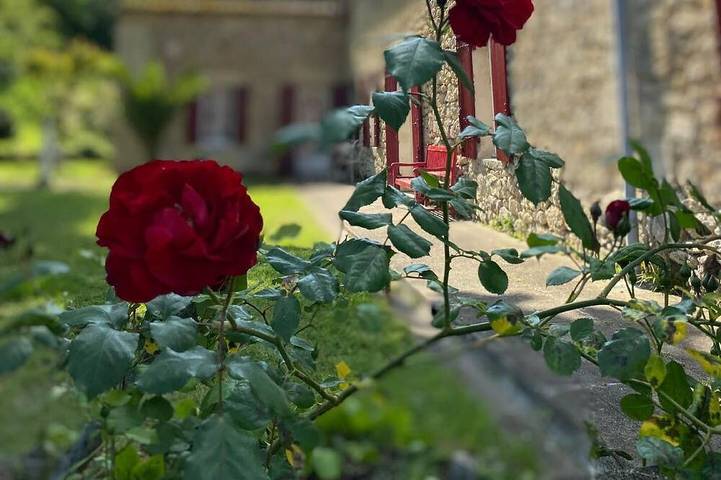 Gîte pour 4 personnes, avec piscine et jardin, animaux acceptés à Pujols (Gironde)