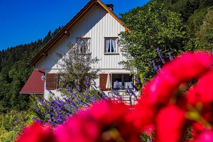 Ferienwohnung für 6 Personen in Oppenau