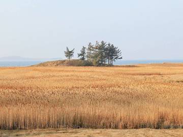 Ferieudlejning til 14 Personer i Lillebælt, Fåborg, Billede 4