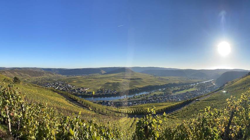 Vakantieappartement voor 4 personen aan de Moezel