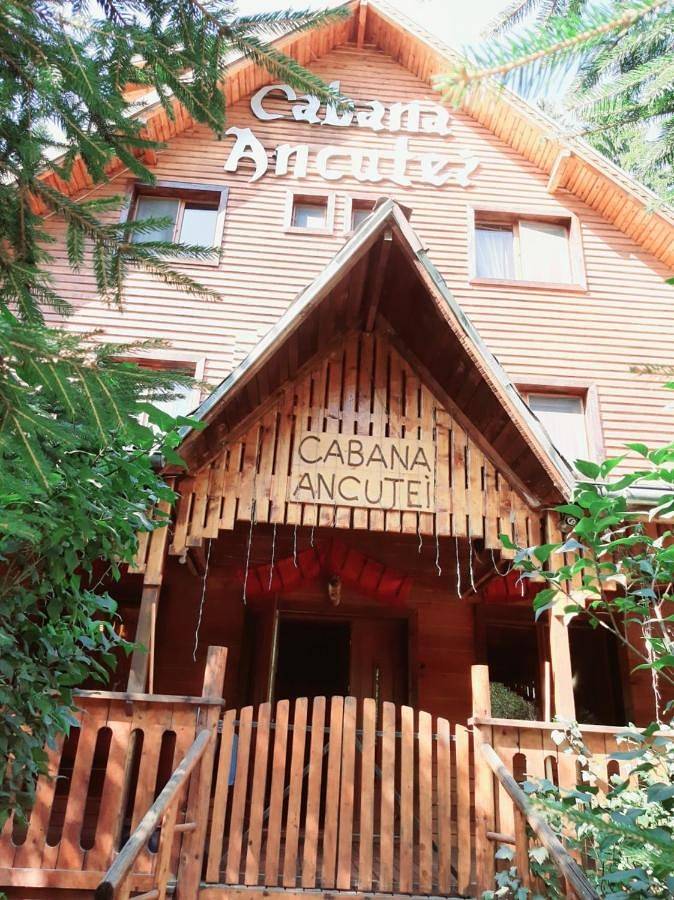B&b per 2 persone, con Terrazza e Giardino nonché Panorama in Romania